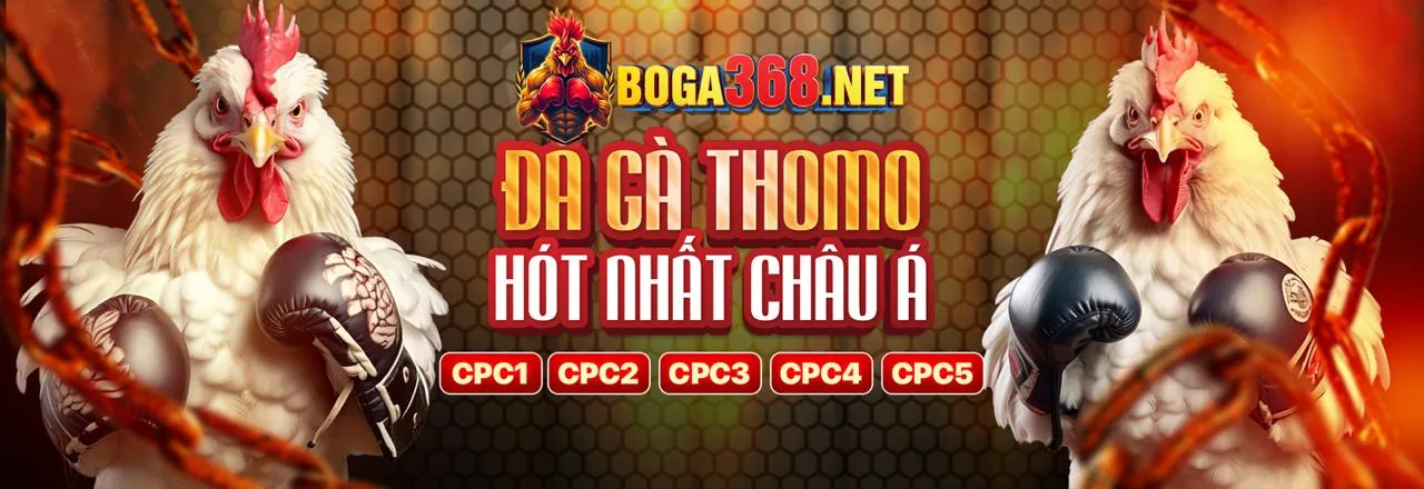 Tổng quan về nền tảng cá cược 188bey chính thức